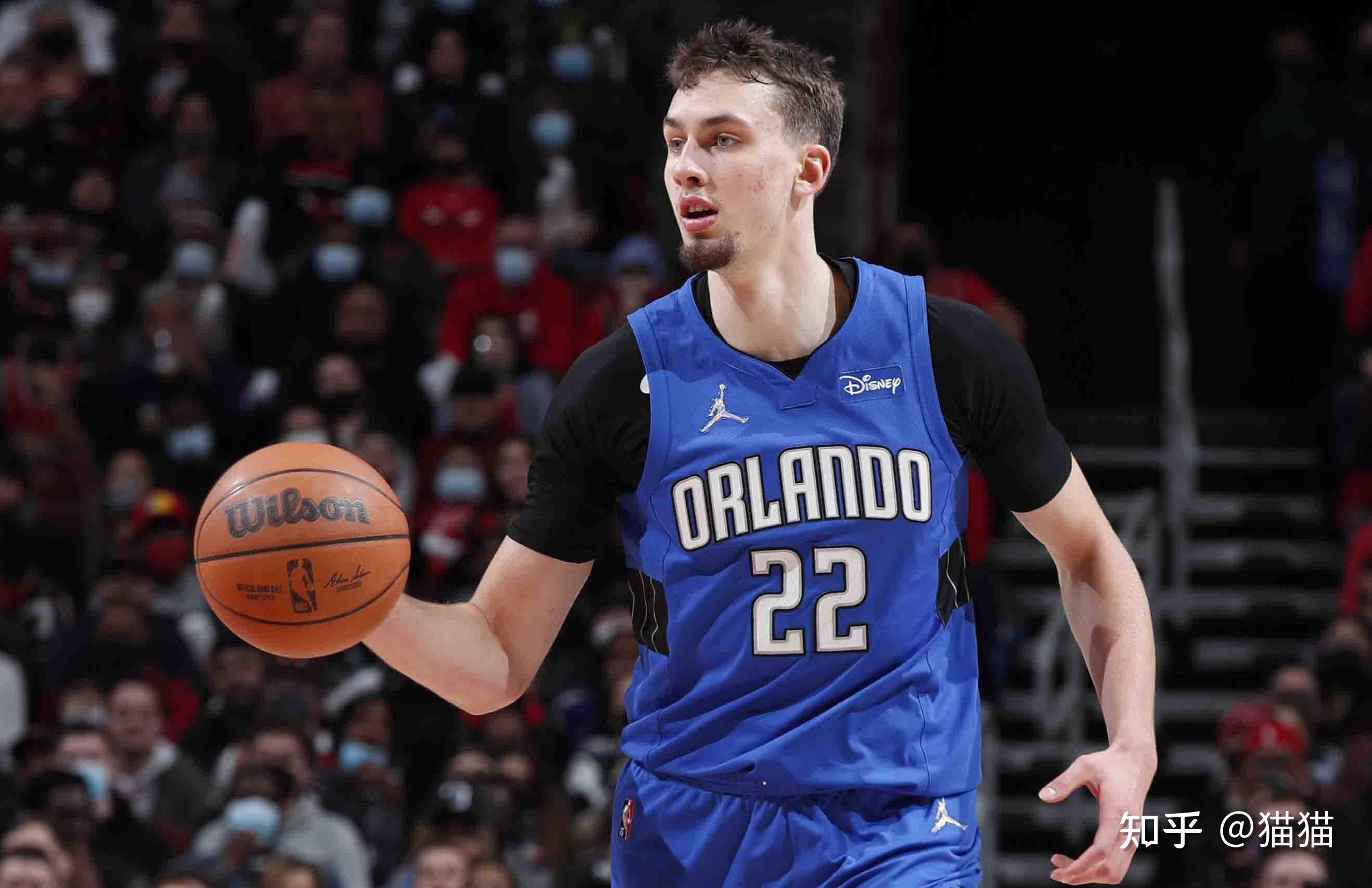 显而易见的 显而易见的