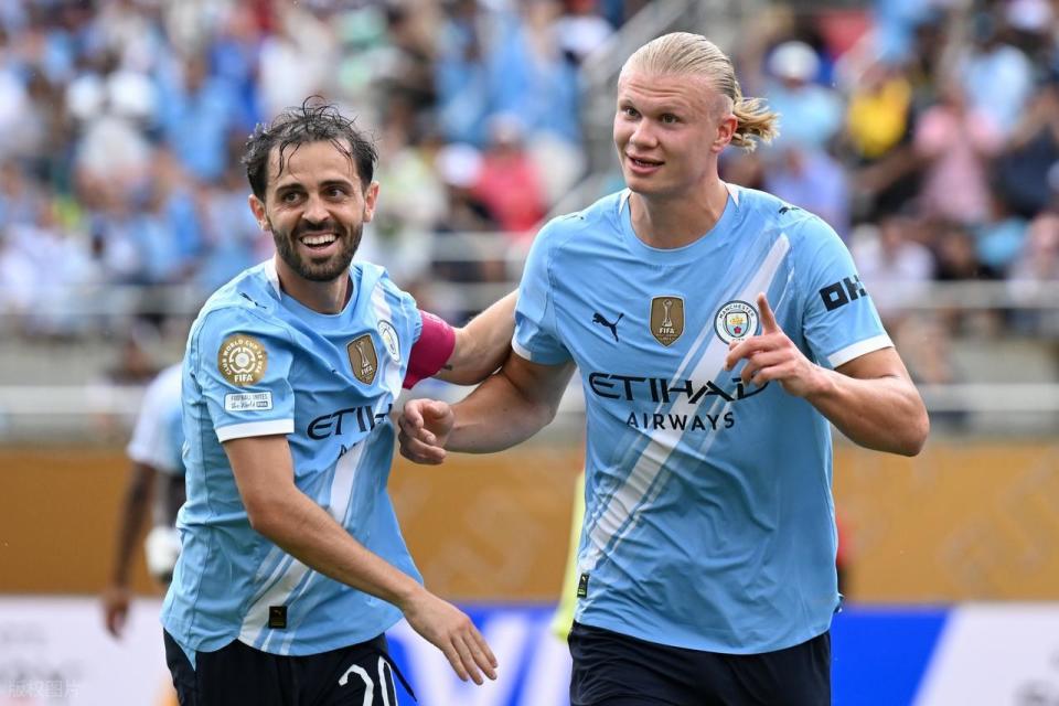 身体的双重 身体的双重